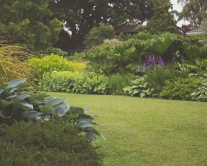 garden-300x241