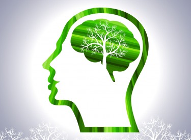 Some vitamins for your mind – quotes from Jim Rohn