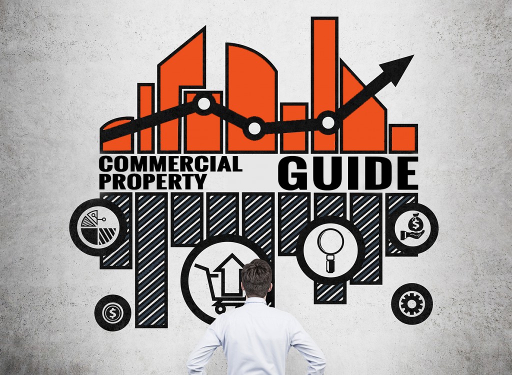 Commercial Property Investment The Complete 12 Step Investor S Guide