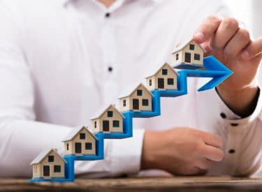 Blame the 20-year growth cycle, not the government