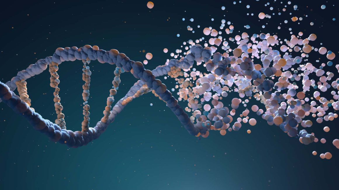 Your Thoughts Alter Your Genes
