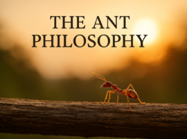 The Ant Philosophy | Jim Rohn