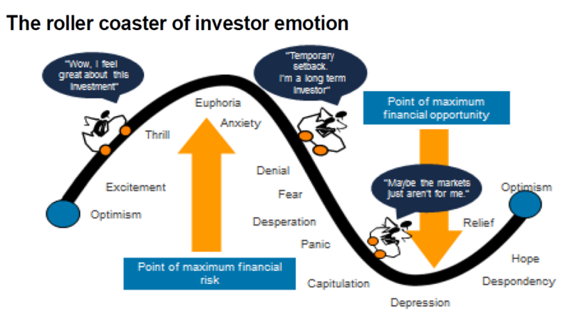 Roller Coster Of Investor Emotion 