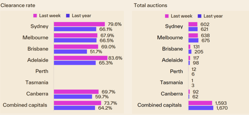 Capital City Auction Statistics