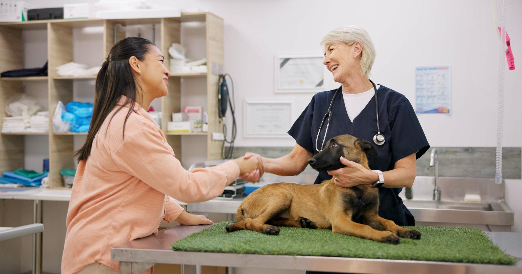 Dog Care